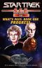 [Star Trek · S.C.E.: What's Past 01] • Star Trek · Progress